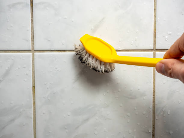 Best Emergency Mold Removal  in Harpersville, AL