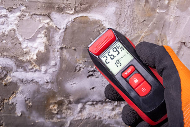 Best Office Mold Removal Services  in Harpersville, AL