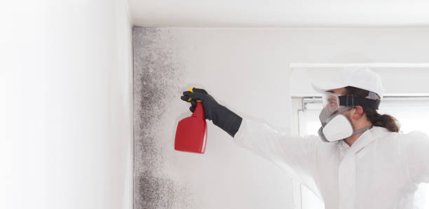 Best Crawl Space Mold Removal  in Harpersville, AL