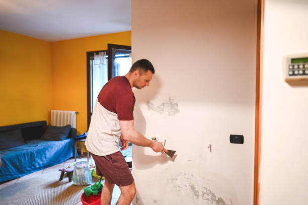 Best Mold Cleaning Services  in Harpersville, AL